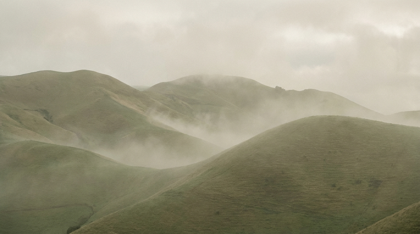 Rolling green pasture hills in New Zealand under soft morning light